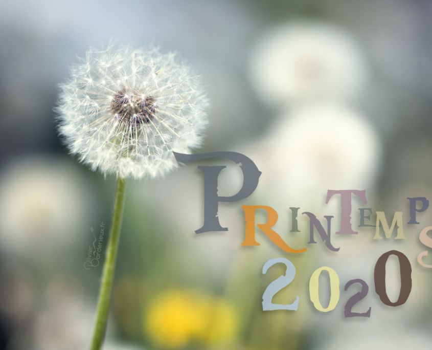 Printemps 2020