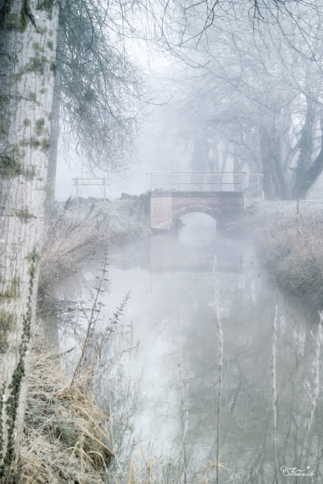 Le pont dans la brume