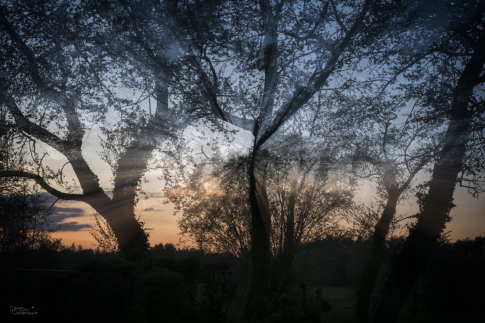 Coucher de soleil