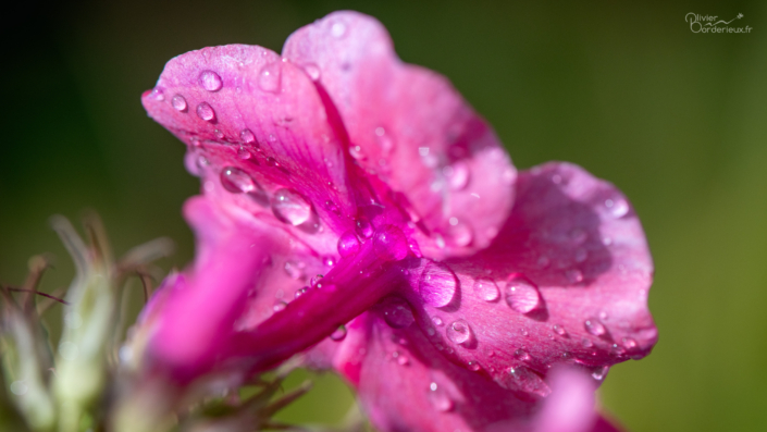 Après la pluie